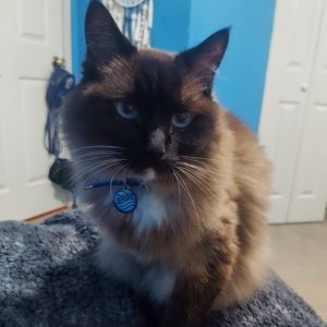 Meet your Posher, Adriana